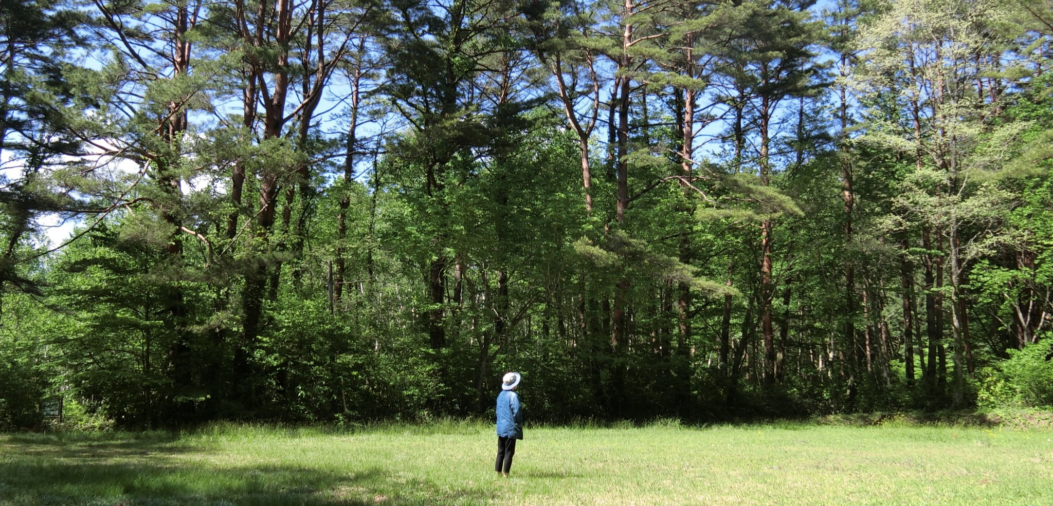 BAR & CAMP 恭山の夏のキャンプサイト風景