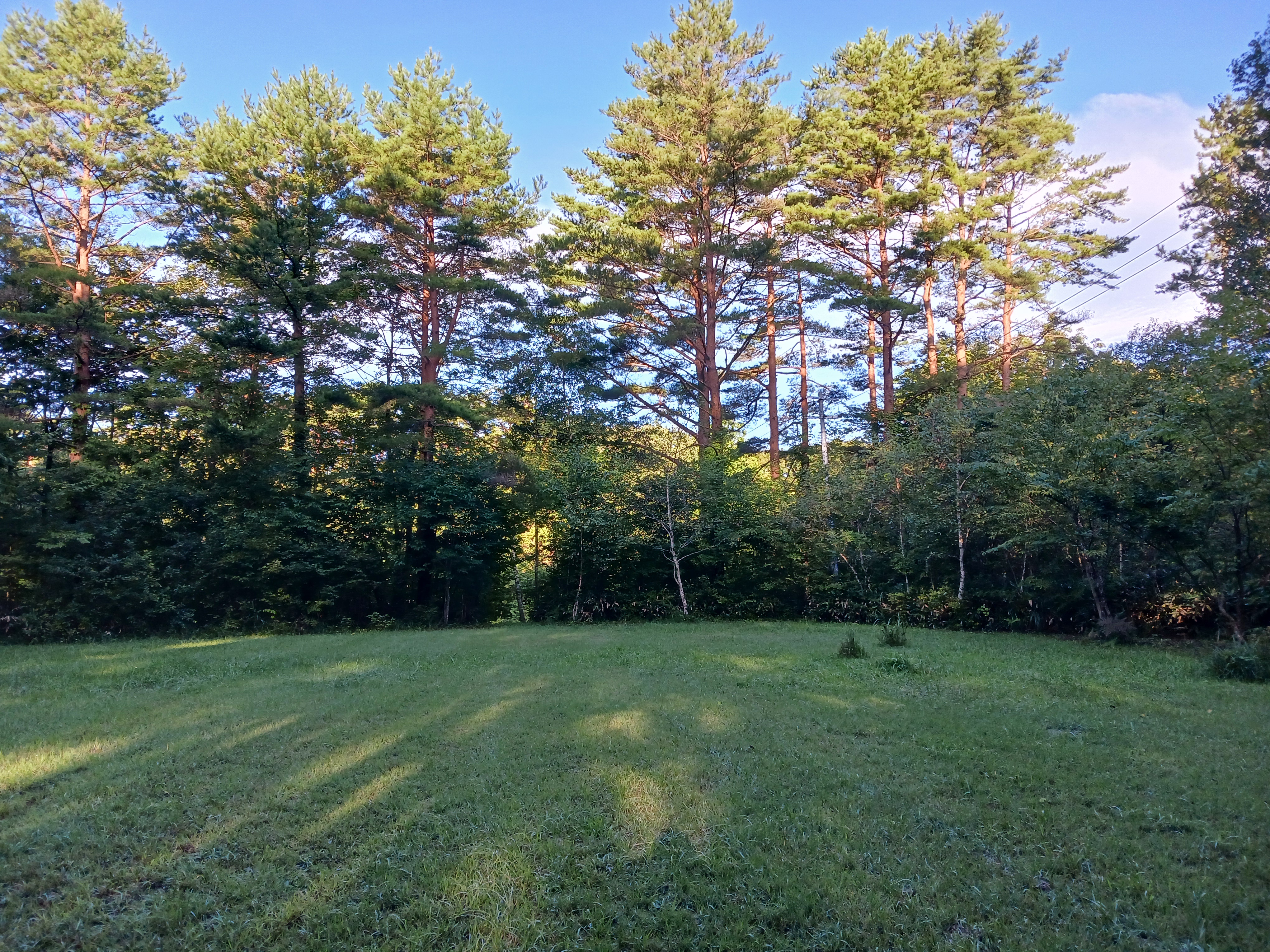 BAR & CAMP 恭山のキャンプサイト